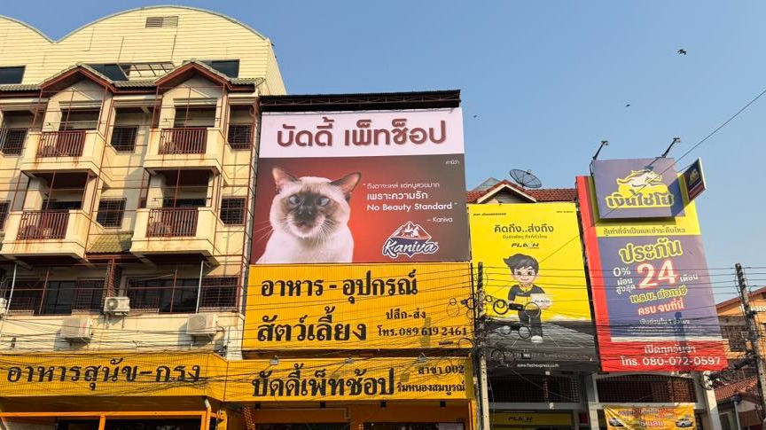 Test Portfolio - ร้านทดสอบ
